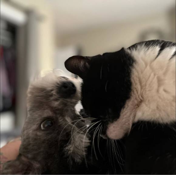 Meet your Posher, Tracy - Picture 1 of 1